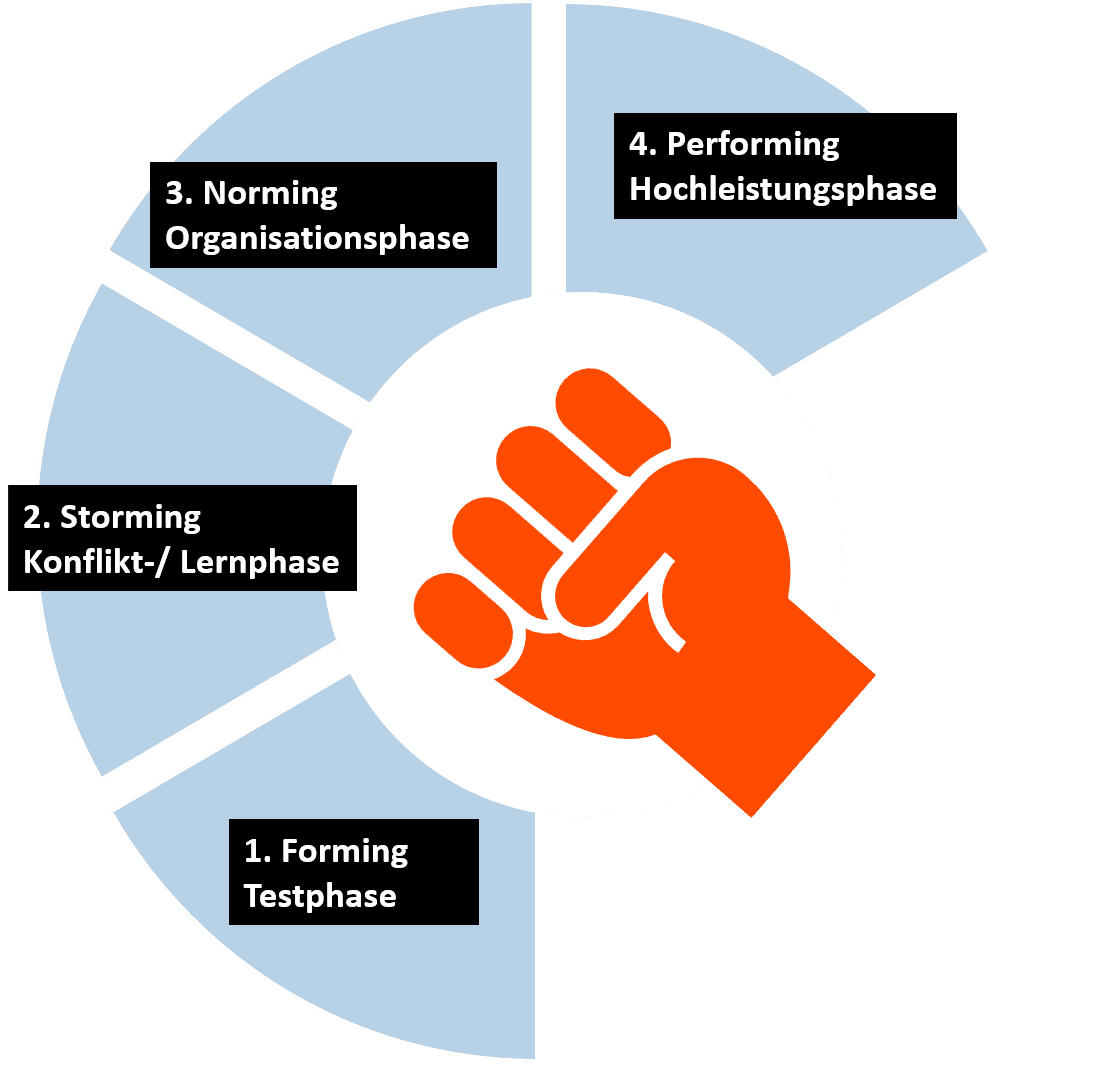Phases distinguished by Tuckman: Forming - Storming - Norming - Performing