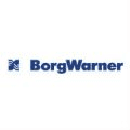ChangePartner Kunde | BorgWagner
